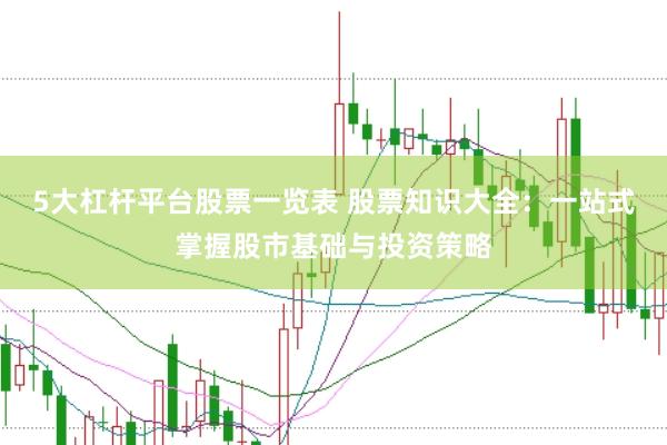 5大杠杆平台股票一览表 股票知识大全：一站式掌握股市基础与投资策略