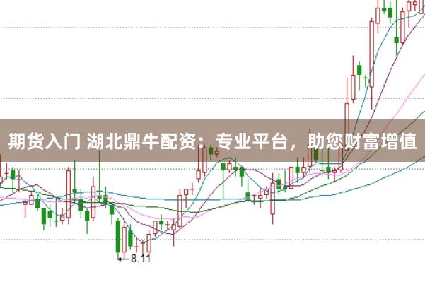 期货入门 湖北鼎牛配资：专业平台，助您财富增值