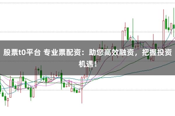 股票t0平台 专业票配资：助您高效融资，把握投资机遇！