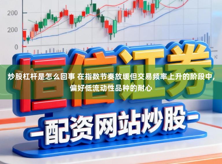 炒股杠杆是怎么回事 在指数节奏放缓但交易频率上升的阶段中,偏好低流动性品种的耐心