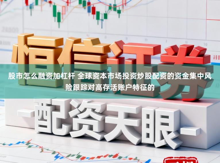 股市怎么融资加杠杆 全球资本市场投资炒股配资的资金集中风险跟踪对高存活账户特征的