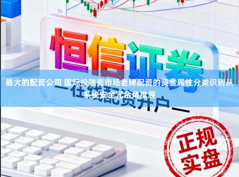 最大的配资公司 国际投融资市场老牌配资的资金属性分类识别从系统安全冗余角度展